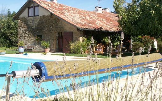 vente maison piscine saint gaudes immobilier international